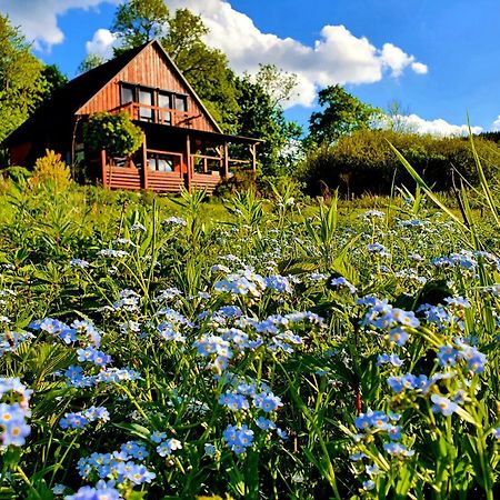 Piaskowy Kon - Mountain Lodge & Spa- Karkonosze Mniszkow  Extérieur photo