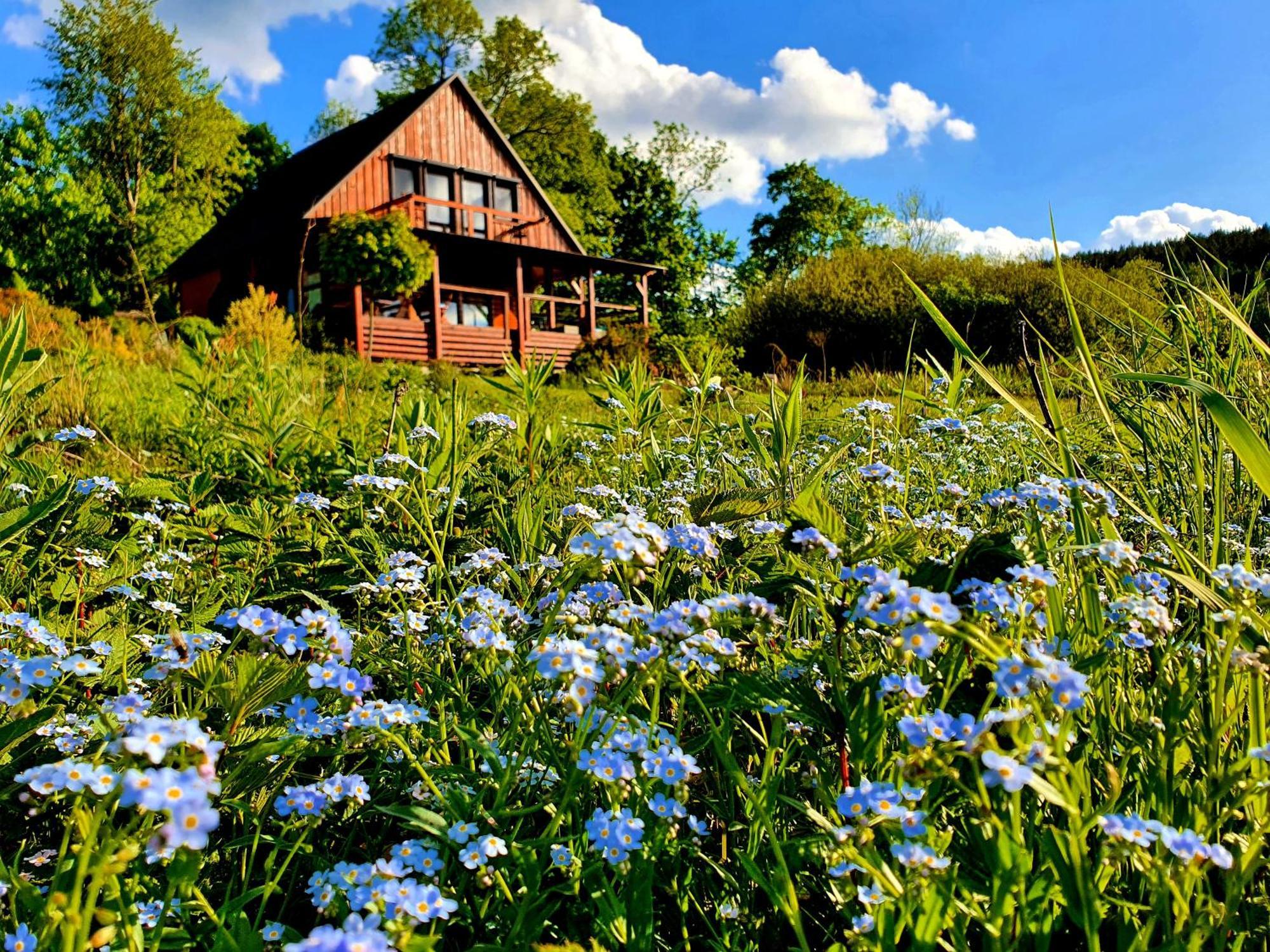 Piaskowy Kon - Mountain Lodge & Spa- Karkonosze Mniszkow  Extérieur photo